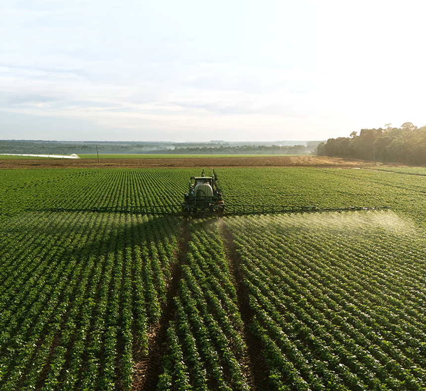 MÁXIMO RESULTADO<br> POR<br> HECTARE
