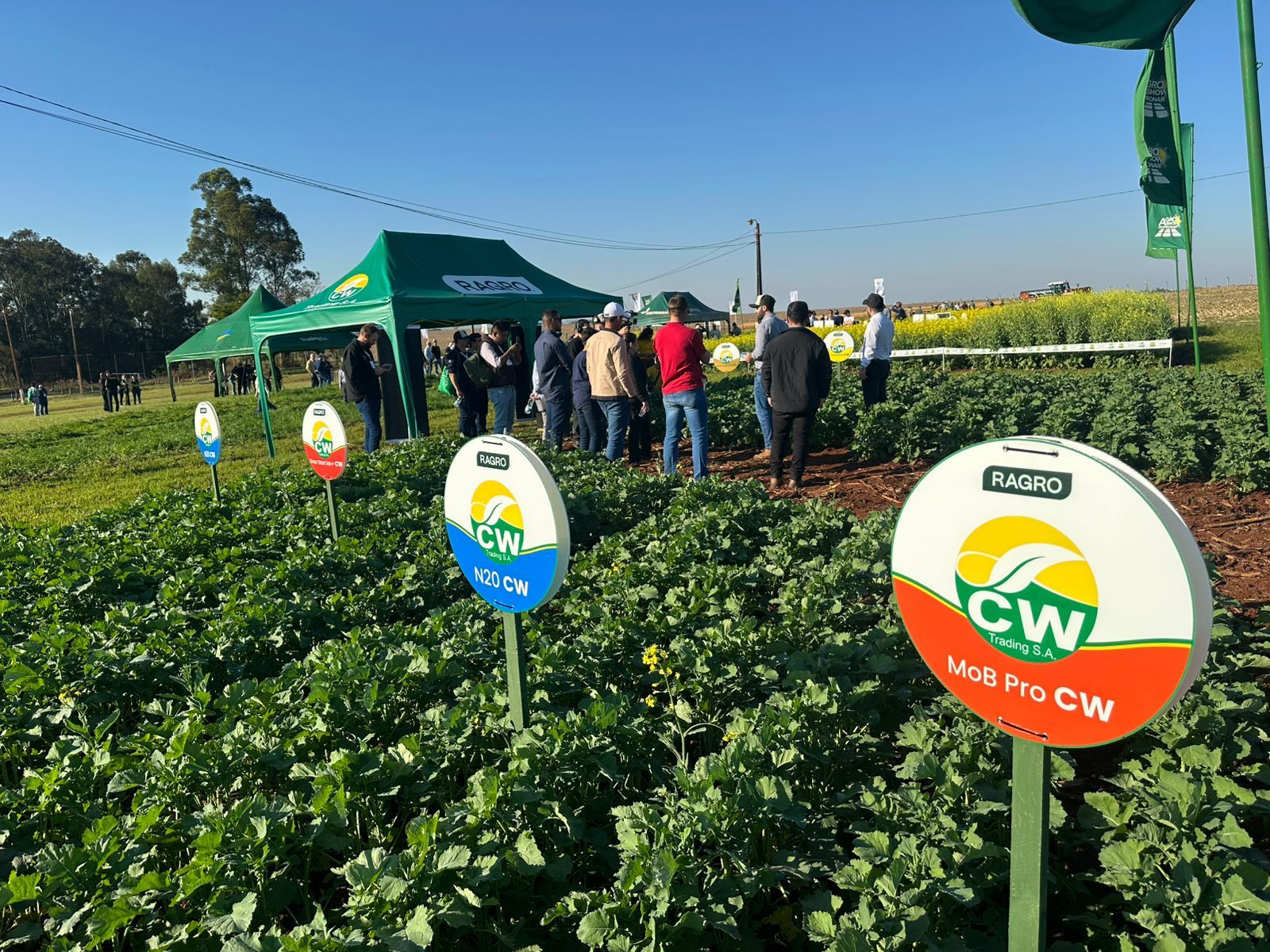 Ragro participa do 3º Simpósio Latino-Americano de Canola, no Paraguai